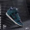 Nike Dunk High Retro Premium (DQ7679-002)