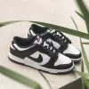 Кроссовки Nike Dunk Low Retro (HF5441-100)