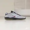 Кеды Nike SB Vertebrae (FD4691-004)