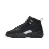 Jordan Air Jordan 12 Retro The Master