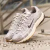 Кроссовки Nike P-6000 (CD6404-028)