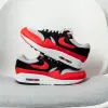 Кроссовки Nike Air Max 1 ESS (FZ5808-015)
