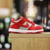 Nike Dunk Low TDE (CW1589-002)