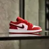 Jordan 1 Low SE (GS) (DB3621-600)