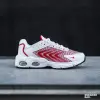 Nike Air Max TW (GS) (DQ0296-104)