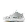 Jordan Air Jordan 11 Retro Low IE Silver Zest