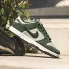 Кроссовки Nike DUNK LOW RETRO SE (IB6399-301)