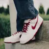 Кроссовки Nike DUNK LOW RETRO (HF5441-008)