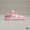 Кроссовки Nike Dunk Low Next Nature W (DD1873-112)