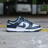 Nike Dunk Low Retro (DD1391-003)