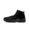 Jordan Air Jordan 12 Retro OVO Black 2017