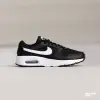 Кроссовки Nike Air Max SC (CW4555-002)