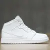 Jordan 1 Mid (GS) (554725-126)