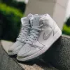 Кроссовки Nike AIR JORDAN 1 MID SE (FN5031-100)