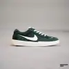 Кеды Nike SB Force 58 (DV5477-301)