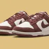 Nike Dunk Low (IB4417-104)