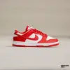Кроссовки Nike Dunk Low Next Nature W (DD1873-116)