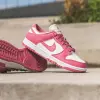 Кроссовки Nike W DUNK LOW (IM6572-104)