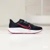 Кроссовки Nike Quest 6 (FD6033-002)