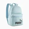 Рюкзак Puma Phase Backpack III 22L