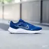 Кроссовки Nike Downshifter 12 (DD9293-400)