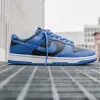 Nike Dunk Low Retro (DD1391-001)