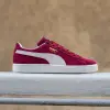 Puma Suede Classic XXI (374915-06)