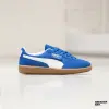 Кеды Puma Palermo (396463-07)