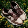 Кроссовки Nike WMNS DUNK LOW (IO4244-102)