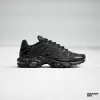 Nike Air Max Plus (604133-050)