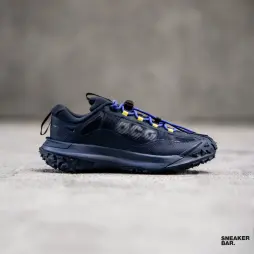 Кроссовки Nike ACG Mountain FLY 2 Low Goretex 