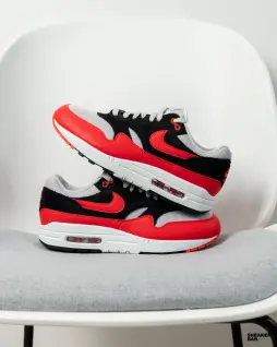 Кроссовки Nike Air Max 1 ESS