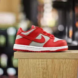 Nike Dunk Low TDE