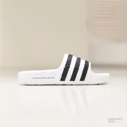 Сланцы Adilette 22