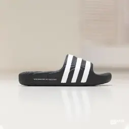 Сланцы Adilette 22
